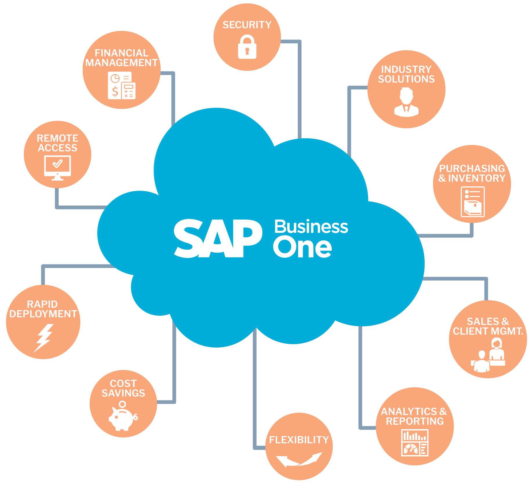 SAP Business One features diagram